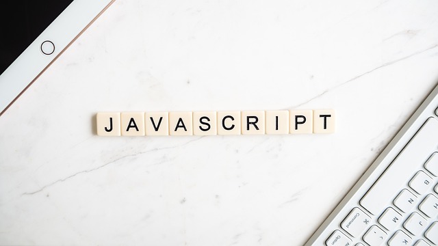 javascript programmer code