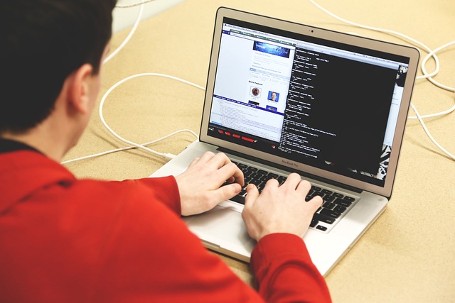 programming developing startup